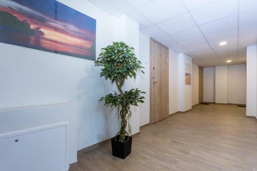 Vil? Apartamentai