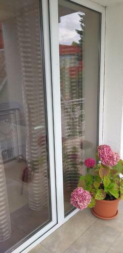 Hostal Palangos Sve?i? Namai