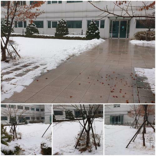 Apartamento Pangyo Healing Garden