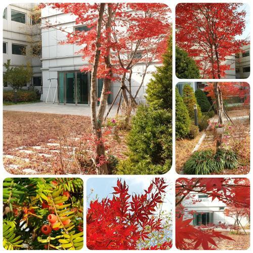 Apartamento Pangyo Healing Garden