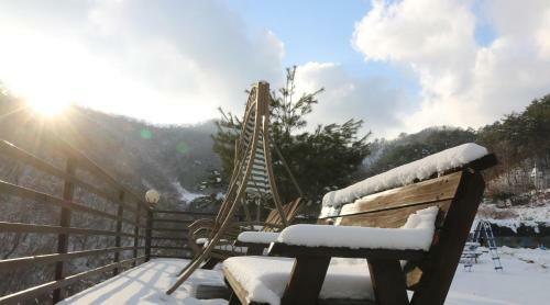 Bandy Star Pension