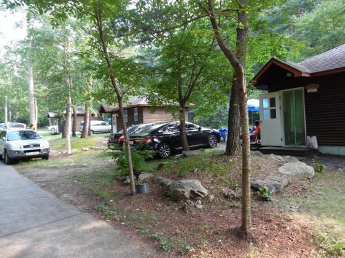 Forest House