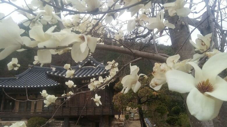 Hostal Manhoe Gotaek
