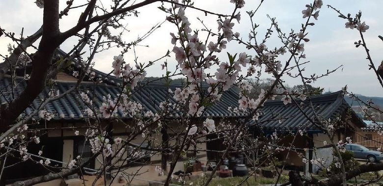 Hostal Manhoe Gotaek
