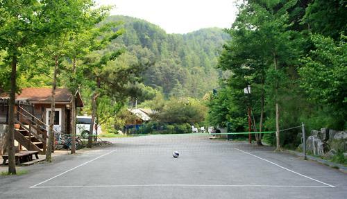 Mir Pension