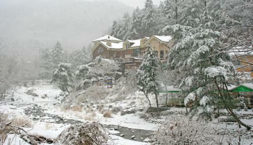 Mir Pension