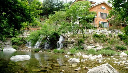 Mir Pension