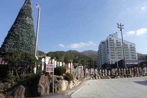 Hotel Bears Town