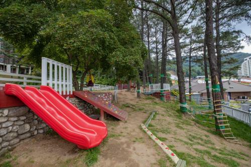 Hotel Bears Town