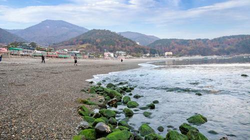 Yeosu Carp Island