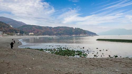 Yeosu Carp Island