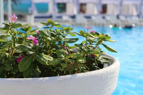 Hotel Del Mare
