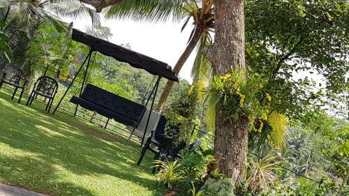 Hotel Cannelle Resort