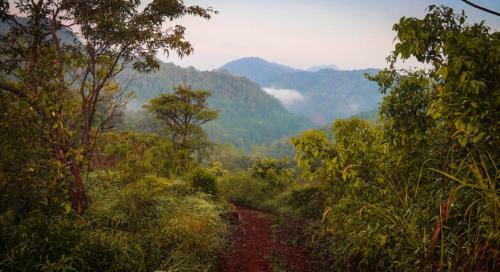 Hotel Handunkanda Nature Resort