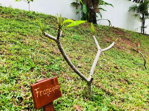 Bed & Breakfast Cocoste Paradise Villa