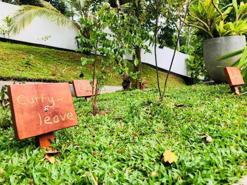 Bed & Breakfast Cocoste Paradise Villa
