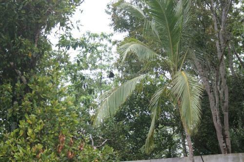Bed & Breakfast Cocoste Paradise Villa