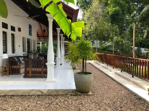 Bed & Breakfast Cocoste Paradise Villa