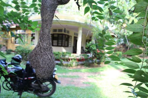 Hostal Abberny Villa