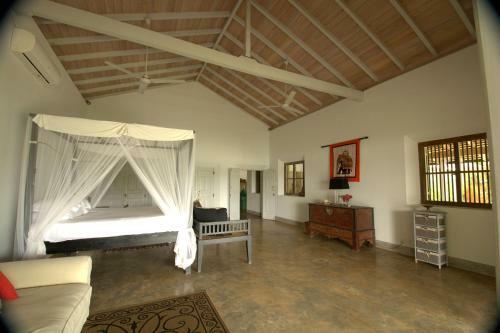 Crocodile Rock Villa