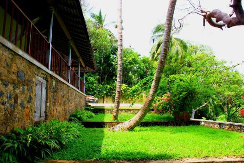 Crocodile Rock Villa