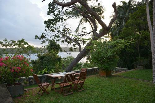 Crocodile Rock Villa