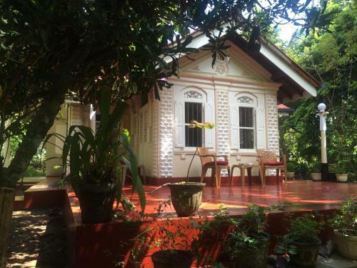 Bed & Breakfast Mimosa Villa