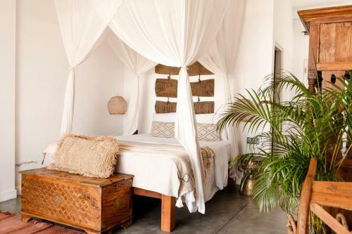 Hotel Dreamsea Sri Lanka