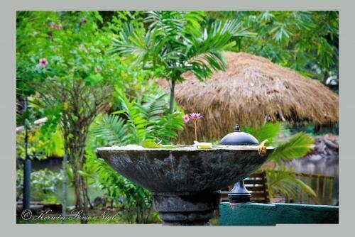 Hostal Bluewhale Lagoon Resort Ahangama