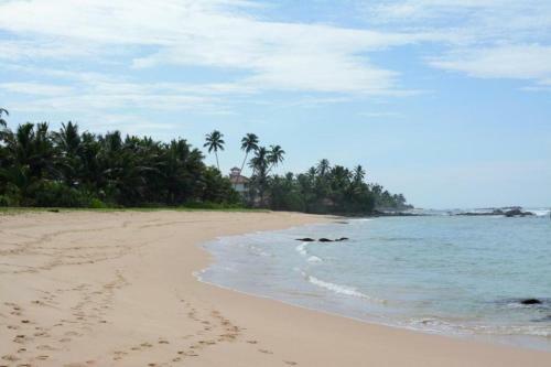 Hostal Bluewhale Lagoon Resort Ahangama