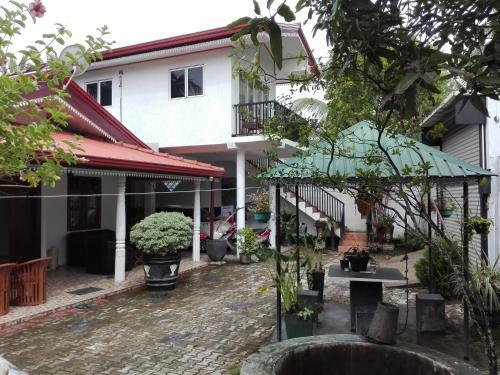 Jungle House