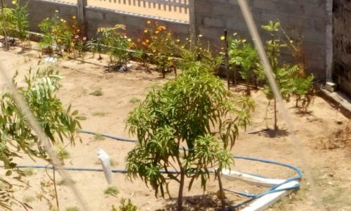 Hostal Beach Guest House Addalaichenai