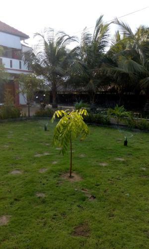 Hostal Beach Guest House Addalaichenai