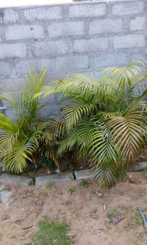 Hostal Beach Guest House Addalaichenai