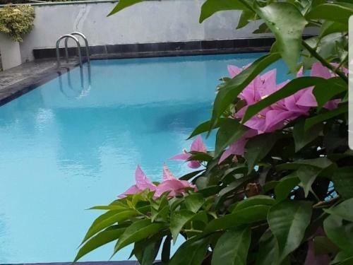 Hostal Boutique Holiday Bungalow