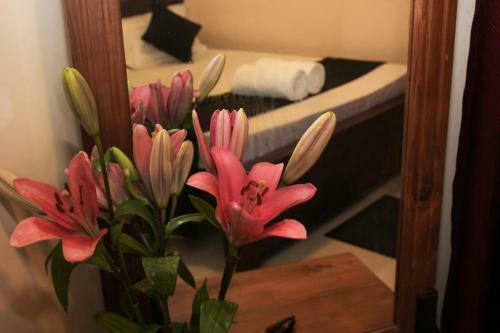 Hostal Sun Gold Bungalow