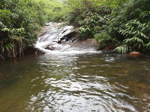 Hotel Bambarakanda Holiday Resort