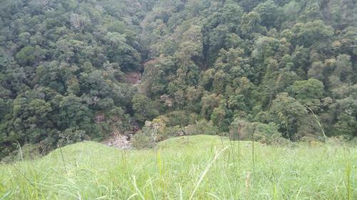 Hotel Bambarakanda Holiday Resort