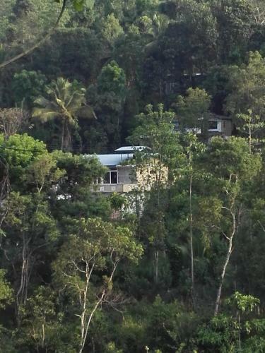 Hostal Lanka Peter's House