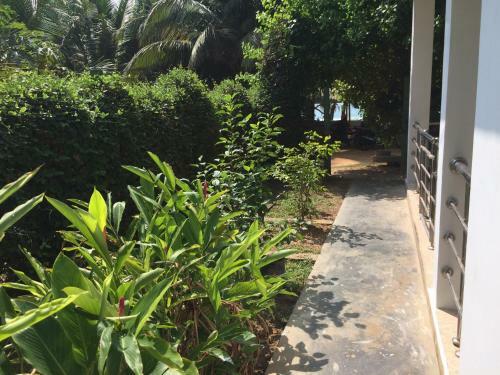 Hotel Dream Beach Villa