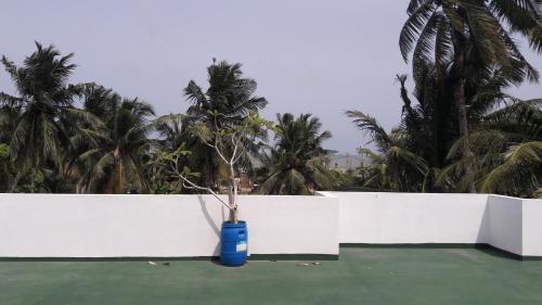 Hostal Curly Place