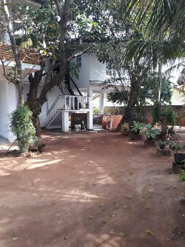 Villa Orchid