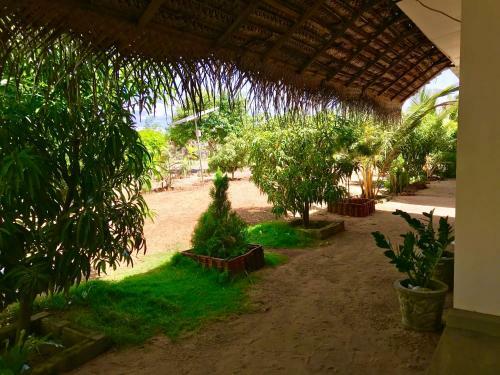 Hotel Starfish Beach Bungalows