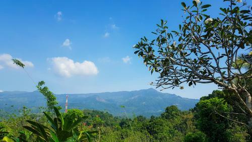Sanda Asapuwa Homestay
