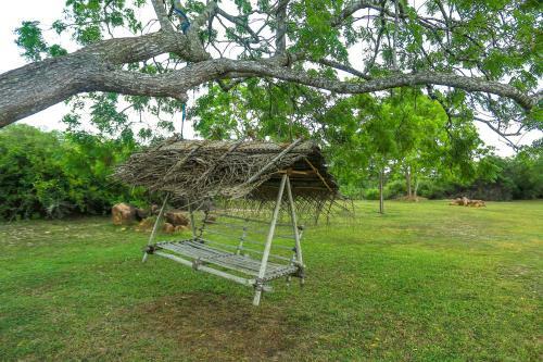 Yoho Puranagama Eco Lodge