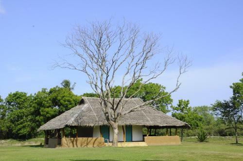 Yoho Puranagama Eco Lodge