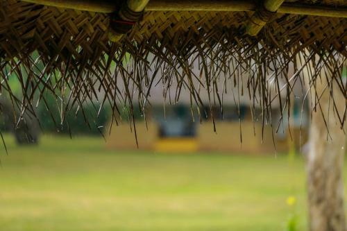Yoho Puranagama Eco Lodge
