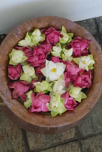 Bed & Breakfast Lotus Colombo Guesthouse