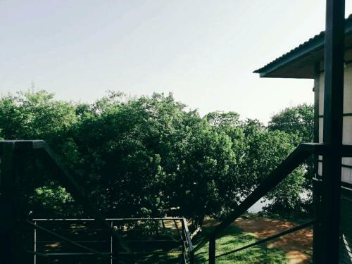 Hotel Wilpattu Nature Resort
