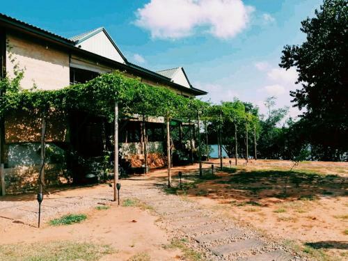 Hotel Wilpattu Nature Resort